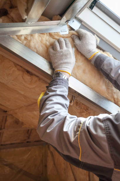 Best Insulation Installation Services in Defiance, OH