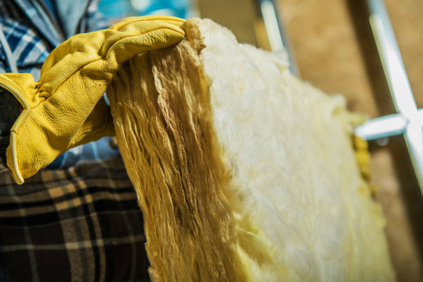 Best Insulation Maintenance and Repair in Defiance, OH